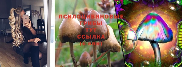 героин Абаза