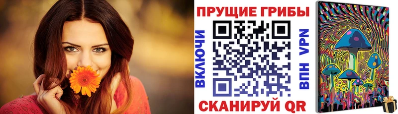MEGA ССЫЛКА  Татарск  Галлюциногенные грибы Cubensis 
